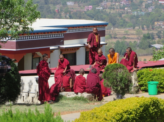Prayers over, the monks spill out into the front yard.
