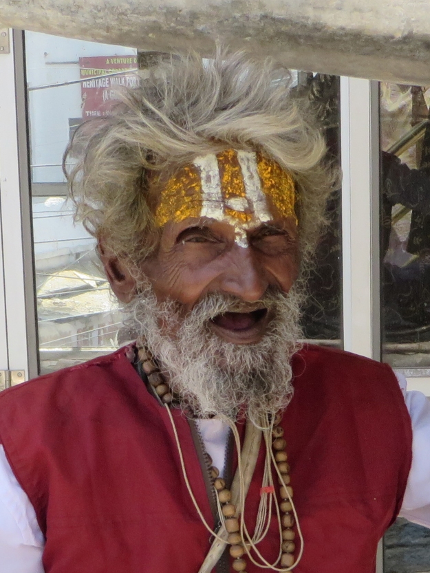 No visit to Udaipur is complete without a visit to the Jagdish Temple and resident sadhu.