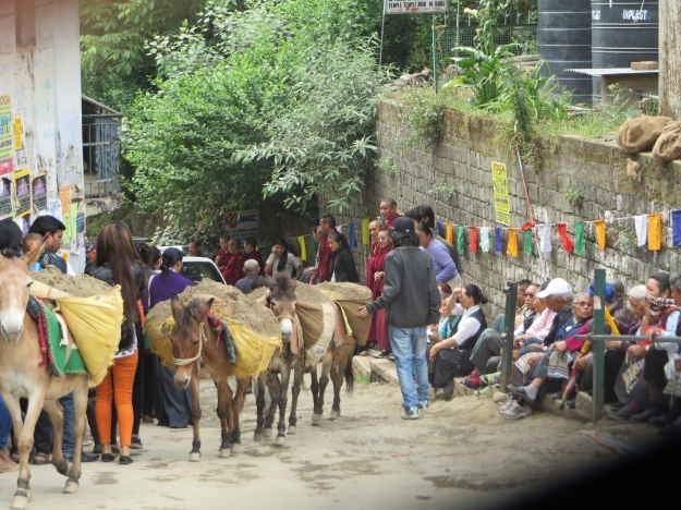I was amused to see this donkey train passing in front of the temple just minutes before His Holiness' motorcade arrived.